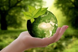 Online katalogy – ekologické reklamní předměty